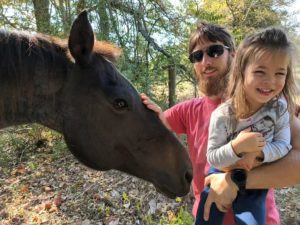 Horses at glamping retreat - the neighbors we see occasionally